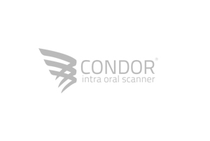 condor-1-300x202