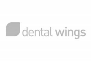 dentalwings-1-300x267-1-300x202